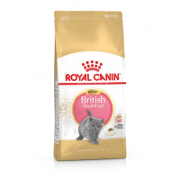 Royal Canin British Shorthair Kitten (Роял Канин Киттен британская короткошерстная) сухой корм для котят