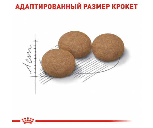 Royal Canin Sterilised Ageing 12+ (Рояв Канін Стерелейз 12+) сухий корм для стерильних кішок від 12 років 2 кг.