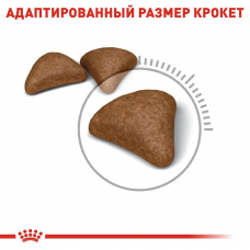 Royal Canin Hairball Care (Рояв Канін Гейрбол Керер) корм для котів при утворенні комочків вовни в шлунку 10 кг.