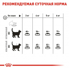 Royal Canin Oral Care (Рояв Канін Орал Керрал) сухий корм для котів від 12 місяців при утворенні зубних каменів 8 кілограмів.