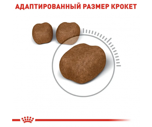 Royal Canin Oral Care (Рояв Канін Орал Керрал) сухий корм для котів від 12 місяців при утворенні зубних каменів 8 кілограмів.