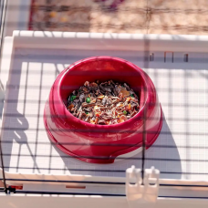 Клітка для кроликів і гризунів з аксесуарами Ferplast Krolik 140 (Ферпласт Кролик 140)