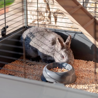 Двоповерхова карта для кроликів і морських свинок Ferplast Rabbit 100 Double (Ферпласт Реббіт 100 Дабл)