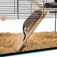 Стеклянная клетка для хомяков, мышей и грызунов Ferplast Karat (Ферпласт Карат) 59,5 x 39 x h 52,5 cm - KARAT 60