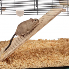 Стеклянная клетка для хомяков, мышей и грызунов Ferplast Karat (Ферпласт Карат) 98,5 x 50,5 x h 61,5 cm - KARAT 100