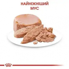 Royal Canin Gastrointestinal Kitten (Роял Канін Гастроінтестинал Кіттен) мус для кошенят у разі розладів 0.195 кг. х 12 шт.