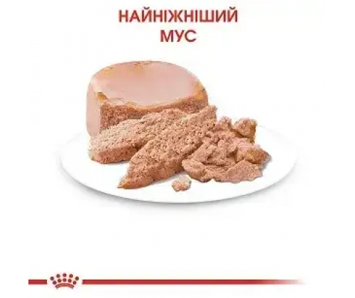 Royal Canin Gastrointestinal Kitten (Роял Канин Гастроинтестинал Киттен) мусс для котят при расстройствах 0.195 кг. х 12 шт