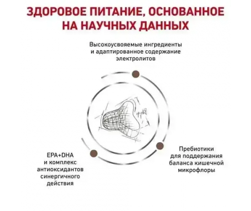 Royal Canin Gastrointestinal Fibre Response (Рояв Канін Гастроінтензал Файбер Респонс) для котів при засунях 4 кг.