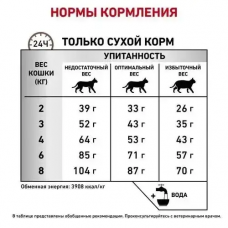 Royal Canin Gastrointestinal Fibre Response (Рояв Канін Гастроінтензал Файбер Респонс) для котів при запорах 2 кг.