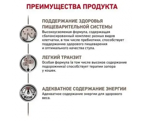 Royal Canin Gastrointestinal Fibre Response (Рояв Канін Гастроінтензал Файбер Респонс) для котів при засунях 4 кг.