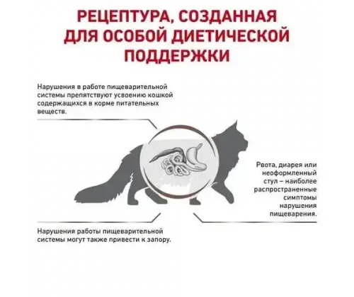 Royal Canin Gastrointestinal Fibre Response (Рояв Канін Гастроінтензал Файбер Респонс) для котів при засунях 4 кг.