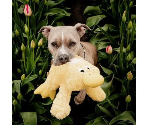 Игрушка для собак Patchwork Pet Platypus (Пэчворк Пэт Утконос) 380