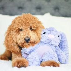 Іграшка для собак Patchwork Pet Pastel Rabbit (Печворк Пет Паский Кролик) 380