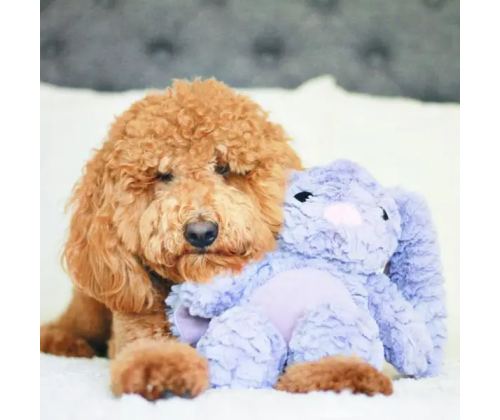 Іграшка для собак Patchwork Pet Pastel Rabbit (Печворк Пет Паский Кролик) 380