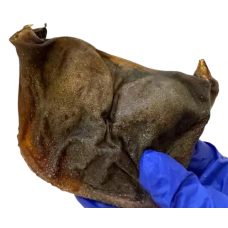 Натуральное лакомство для собак борода теленка сушеная круглая 