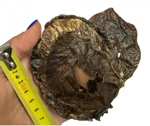 Натуральное лакомство для собак сердце ягненка сушеное кольцами 