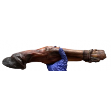 Натуральное лакомство для собак сушеная нога коня долгая 