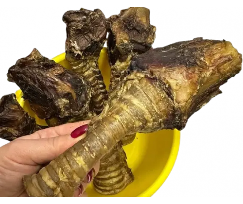 Натуральное лакомство для собак сушеная трахея говяжья 