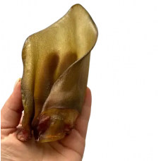 Натуральное лакомство для собак ухо теленка сушеное среднее 