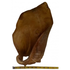 Натуральное лакомство для собак ухо теленка сушеное среднее 