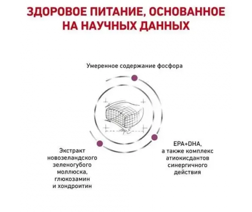 Royal Canin Early Renal (Рояв Канін Ерлі Ренал) сухий корм для котів при захворюваннях нирок