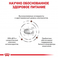 Royal Canin Early Renal (Рояв Канін Ерлі Ренал) сухий корм для котів при захворюваннях нирок 1.5