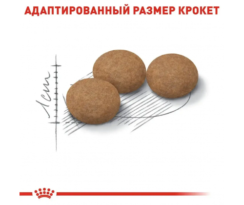Royal Canin Sterilised Ageing 12+ (Роял Канин Стерелайзд 12+) сухой корм для стерилизованных кошек от 12 лет 4 кг.