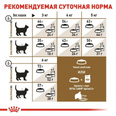 Royal Canin Sterilised Ageing 12+ (Рояв Канін Стерелейз 12+) сухий корм для стерильних кішок від 12 років 4 кг.