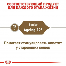 Royal Canin Ageing 12+ (Рояв Канін Ейджінг 12+) сухий корм для старих котів від 12 років 4 кг.