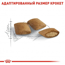 Royal Canin Ageing 12+ (Рояв Канін Ейджінг 12+) сухий корм для старих котів від 12 років 4 кг.