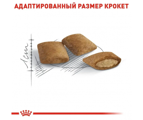 Royal Canin Ageing 12+ (Роял Канин Эйджинг 12+) сухой корм для стареющих кошек от 12 лет 4 кг.