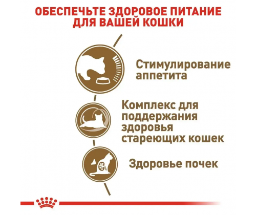 Royal Canin Ageing 12+ (Роял Канин Эйджинг 12+) сухой корм для стареющих кошек от 12 лет 4 кг.