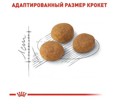 Royal Canin Aroma Exigent (Рояв Канін Арома Ексіджент) сухий корм для котів привердливих в кормах від 12 міс. 10 кг.