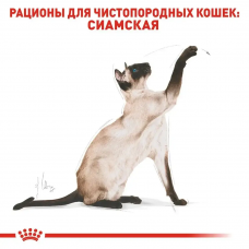 Royal Canin Siamese Adult (Рояв Канін Саямейз Едалт) сухий корм для котів сіамська від 12 місяців 10 кг.