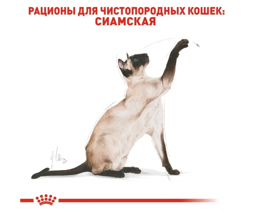 Royal Canin Siamese Adult (Рояв Канін Саямейз Едалт) сухий корм для котів сіамська від 12 місяців 10 кг.