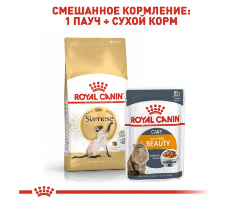 Royal Canin Siamese Adult (Рояв Канін Саямейз Едалт) сухий корм для котів сіамська від 12 місяців 10 кг.