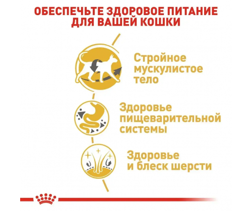 Royal Canin Siamese Adult (Рояв Канін Саямейз Едалт) сухий корм для котів сіамська від 12 місяців 10 кг.