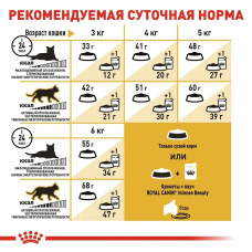 Royal Canin Siamese Adult (Рояв Канін Саямейз Едалт) сухий корм для котів сіамська від 12 місяців 10 кг.