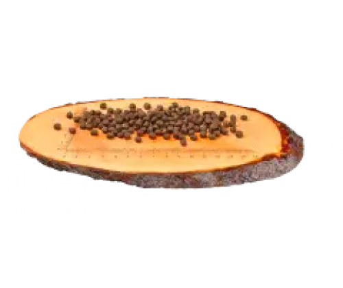 Carnilove Salmon & Turkey for Kitten (Карнилав Киттен Лосось Индейка) сухой беззерновой корм для котят 2 кг.