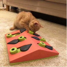 Интерактивная игрушка Арбуз головоломка для лакомств для котов Nina Ottosson Puzzle Play Melon (Нина Оттоссон)