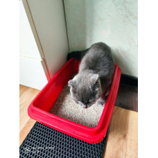 Двошаровий водонепроникний килим 33х30 см ЕВАМУР Eva-Line (Ева Лайн) під котячий туалет Бежевий