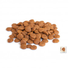 BonaCibo Adult Cat Light Sterilized (Бонасібо Стерилізед Кука Ріс Анчоуси) корм для котів стерильних 5 кілограмів.