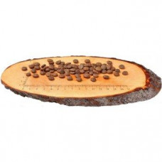 Carnilove Fresh Carp Trout for Adult Sterilised (Кареніл Стерилізед Карп Форель) корм для котів кастрованих