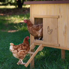 Дерев'яний будиночок для курей Ferplast Hen House (Ферпласт Хен Хаус) 162 x 100 x h 110 см - 30