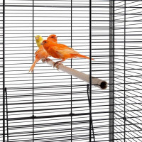 Велика клітка-вольєр для папуг, канарок та інших птахів Ferplast Planeta (Ферпласт Планета)