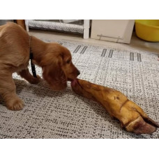 Натуральное лакомство для собак сушеная нога бычка долгая с жилой 