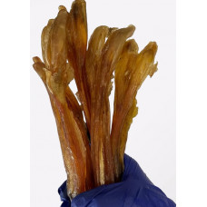 Натуральное лакомство для собак жила путовая молодого теленка 