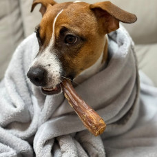 Натуральное лакомство для собак бычий корень (пенис) сушеный 