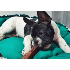 Натуральное лакомство для собак сушеная трахея говяжья 