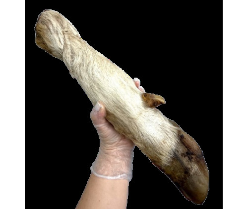 Лакомство для собак сушеная нога бычка долгая с шерстью Лакомство для собак сушеная нога бычка долгая с шерстью